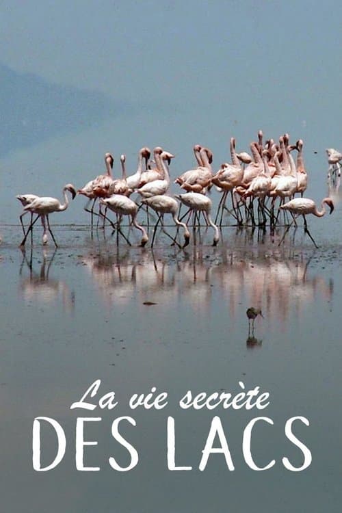 Secret Life of Lakes - Season 1