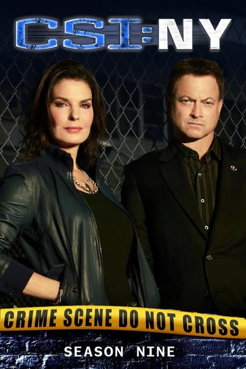 CSI: NY - Season 9