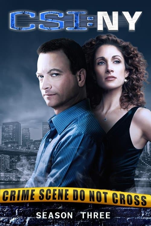 CSI: NY - Season 3