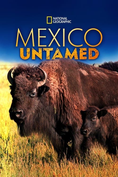 Mexico Untamed - Season 1