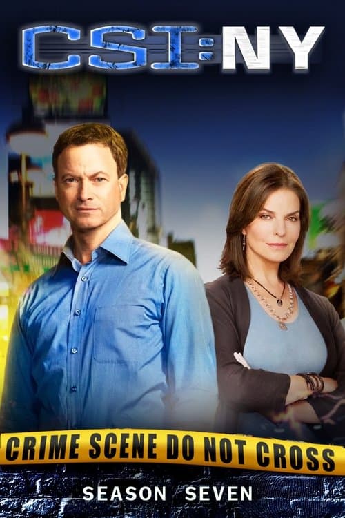 CSI: NY - Season 7