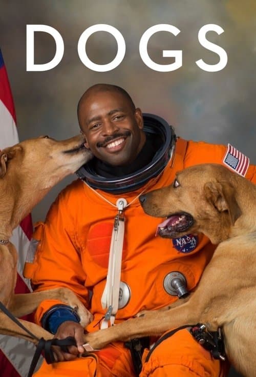 Dogs - Season 2