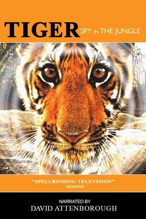Tiger: Spy In The Jungle - Season 1