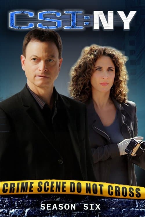 CSI: NY - Season 6