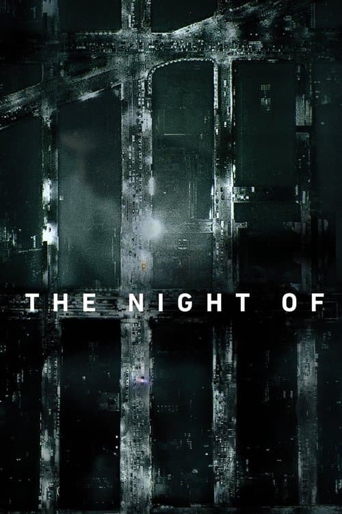 The Night Of - Miniseries