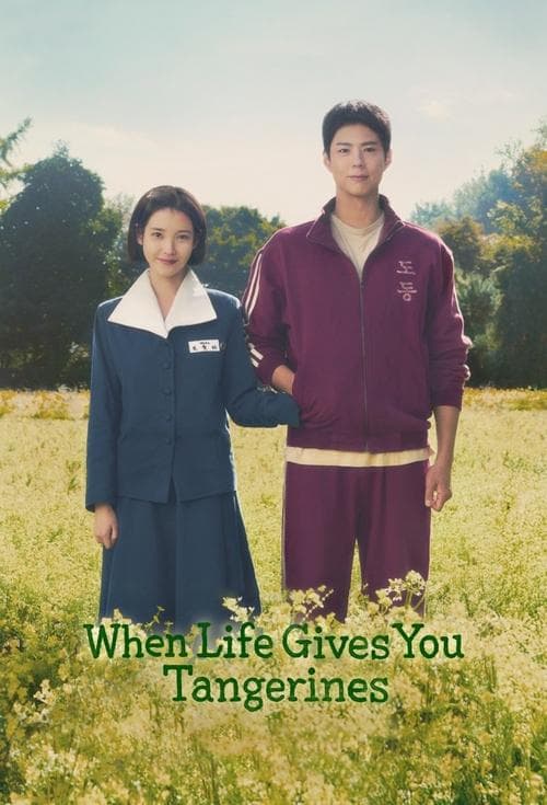 When Life Gives You Tangerines - Limited Series
