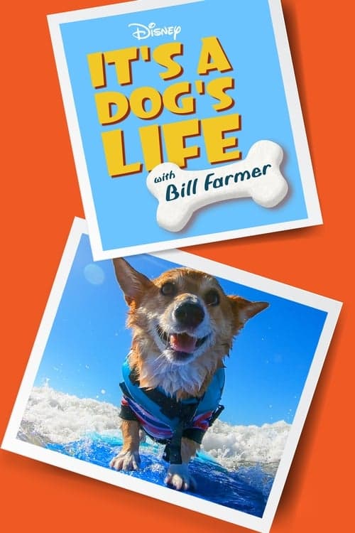 It's a Dog's Life with Bill Farmer - Season 1