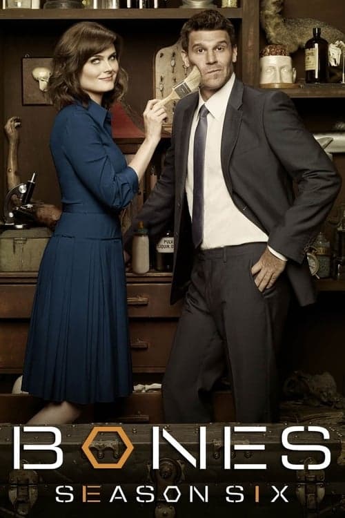 Bones - Season 6