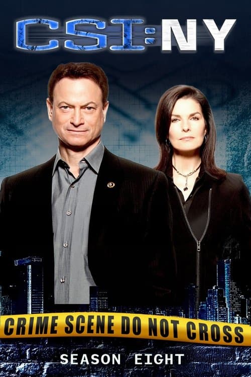 CSI: NY - Season 8