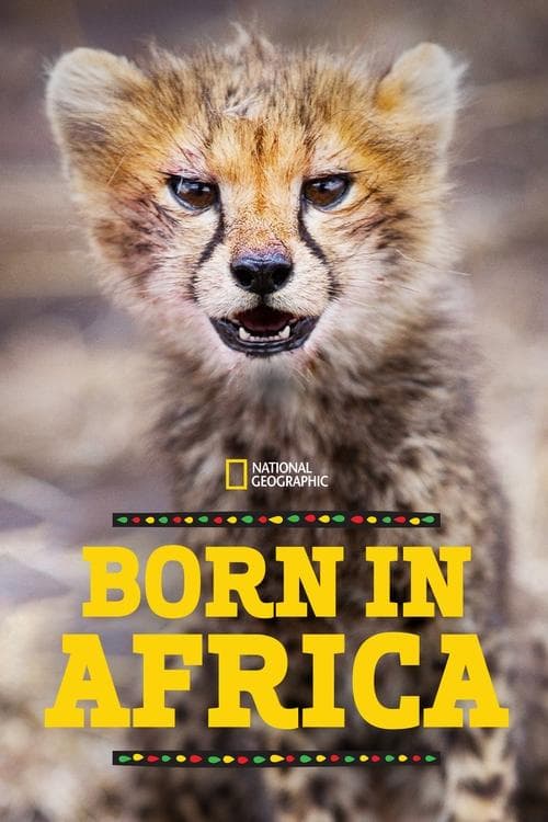 Born in Africa - Season 1